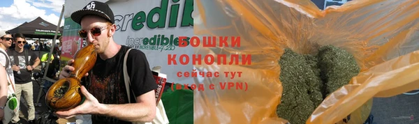 шишки Нефтекумск