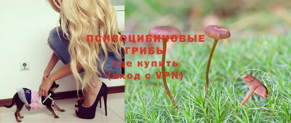 шишки Нефтекумск