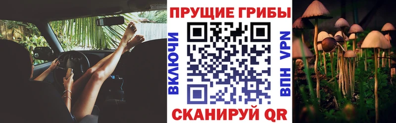 Галлюциногенные грибы Psilocybine cubensis  купить наркотики сайты  Крым 